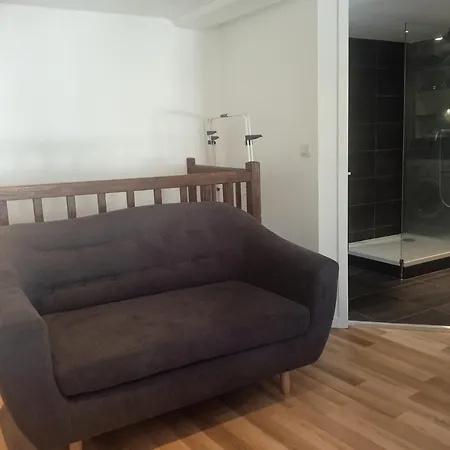Le Duplex D'abi Appartamento Saint-Etienne (Loire)