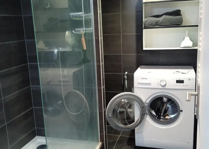 Apartament Le Duplex D'abi Saint-Etienne (Loire)